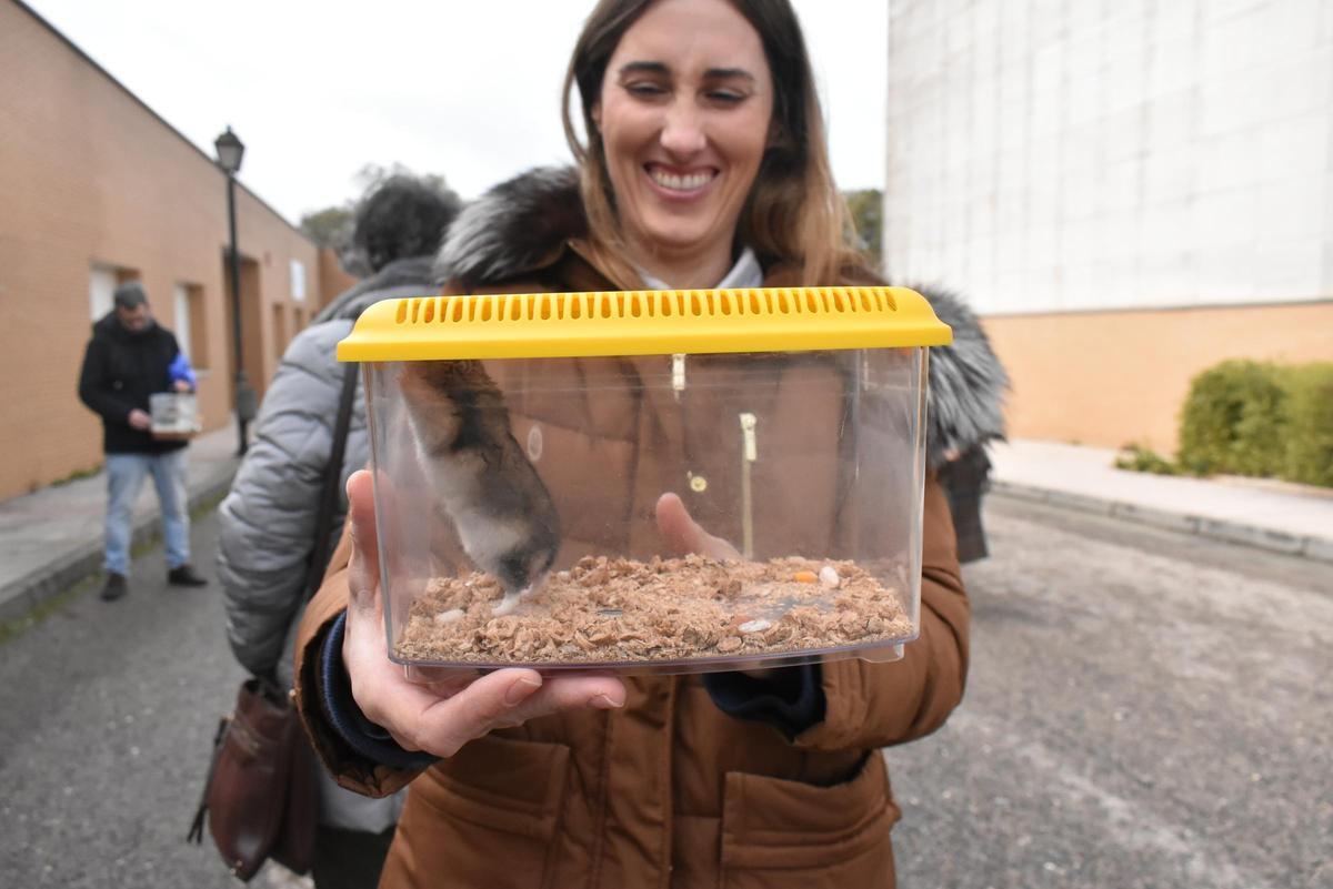 Fotogalería | Así ha sido la celebración de San Antón en el colegio San Antonio de Cáceres