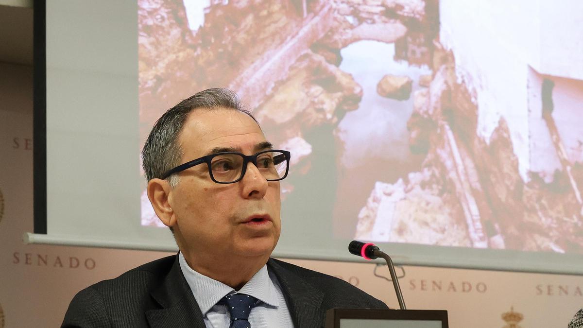 José Luis Santa Isabel, durante su comparecencia en el Senado.