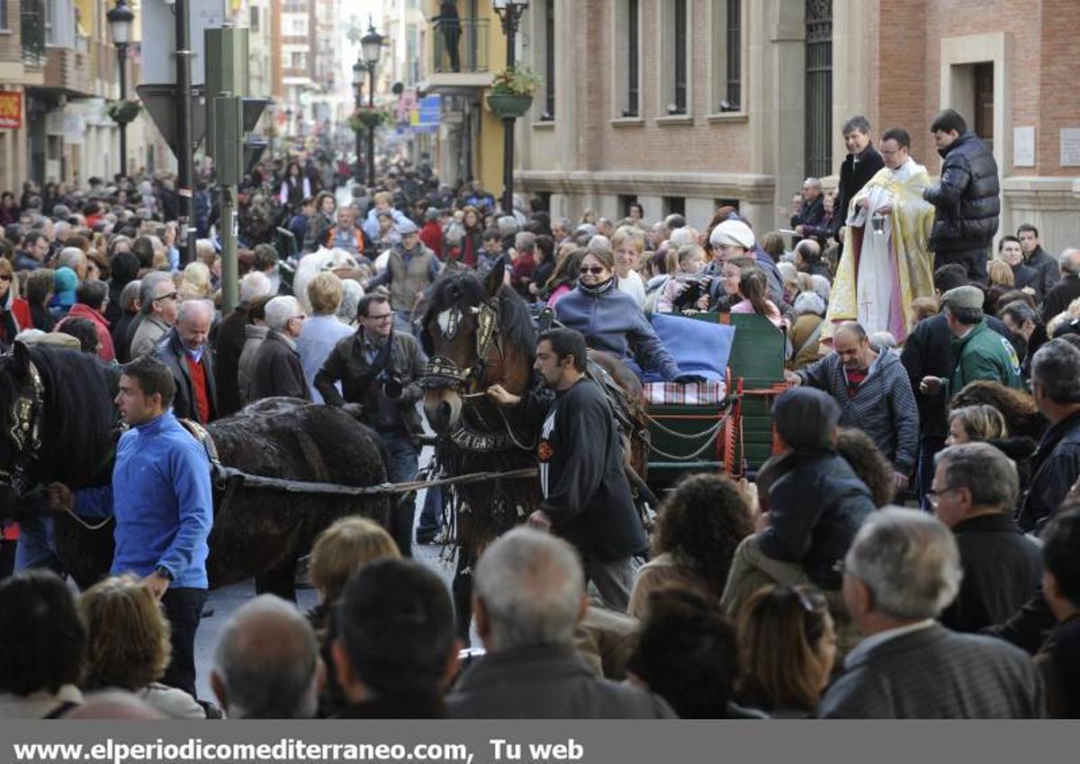 GALERÍA FOTOS - La provincia celebra Sant Antoni