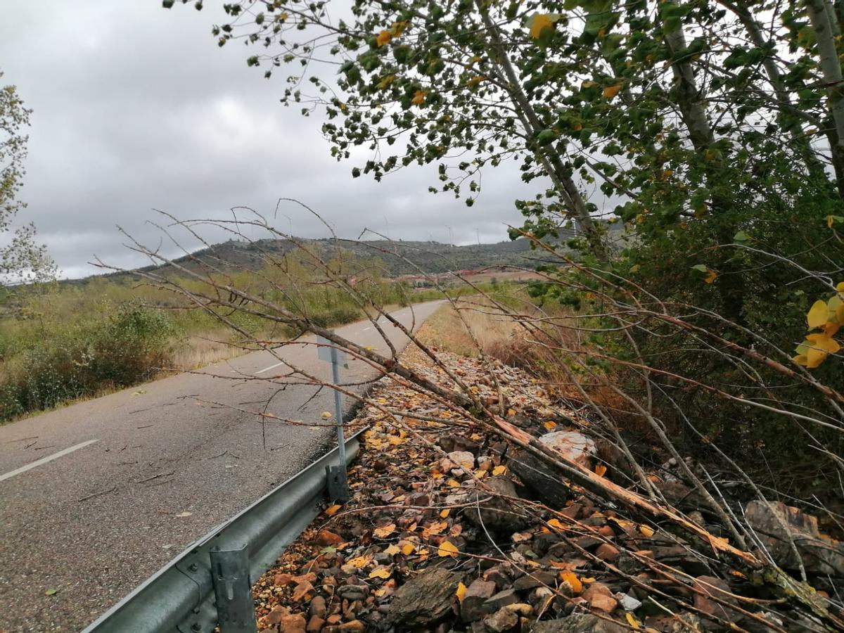 Ramas caídas en la carretera de Villageriz a Fuente Encalada.
