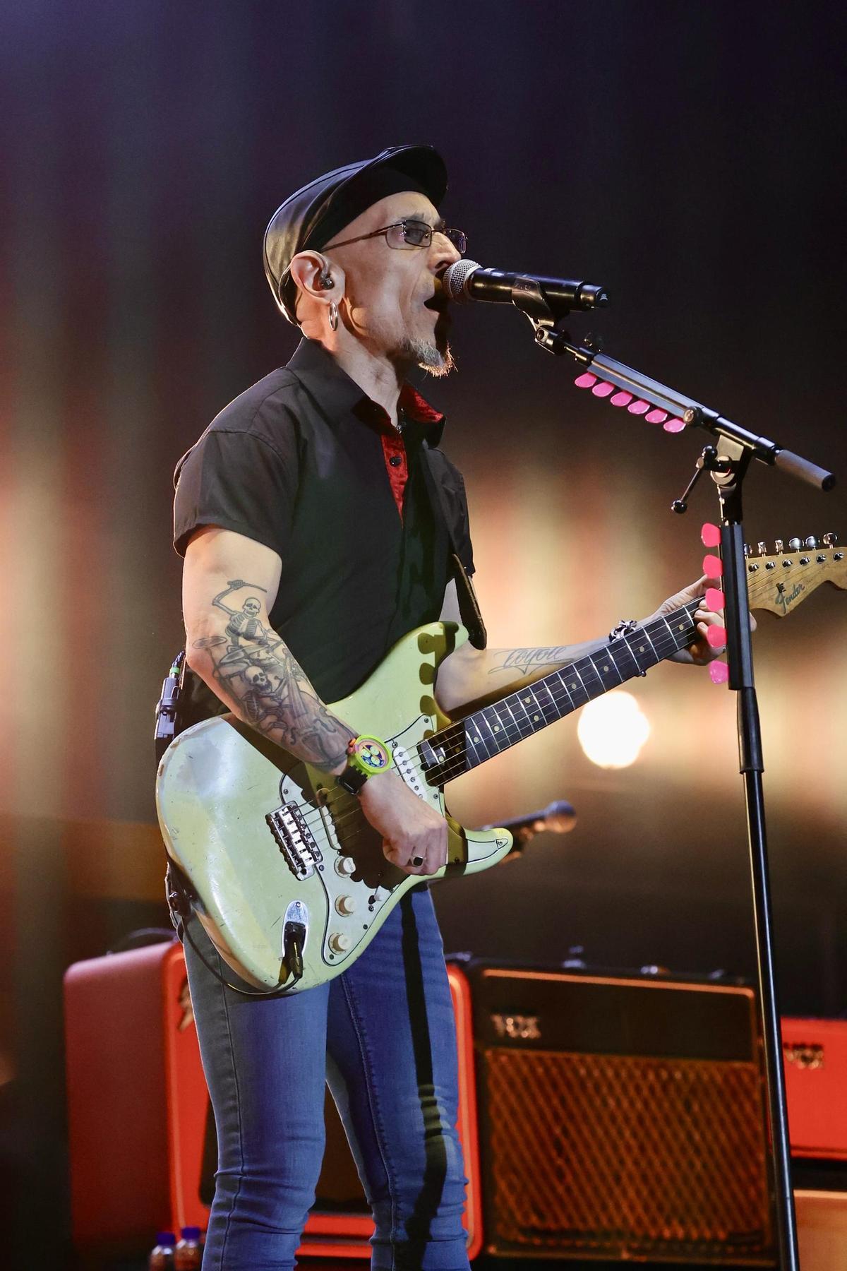 Galería de imágenes: Búscate en el concierto de Fito en Castelló