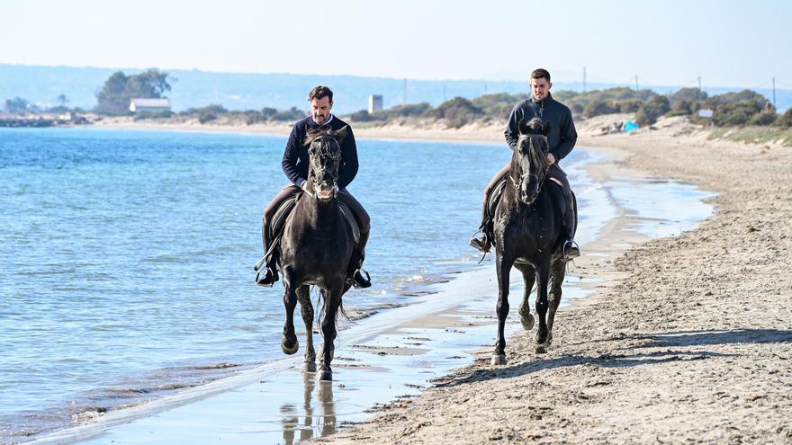 Así entrena el concejal de Elche Claudio Guilabert para ser el próximo Cantó