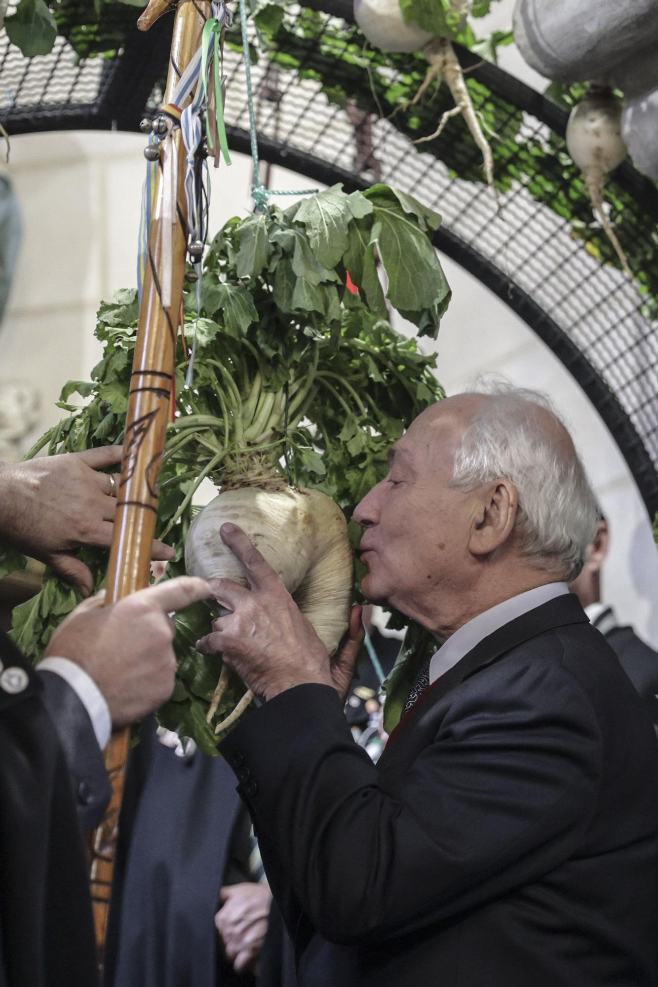 XVII Gran Capítulo de la Cofradía de los Nabos en La Foz de Morcín.