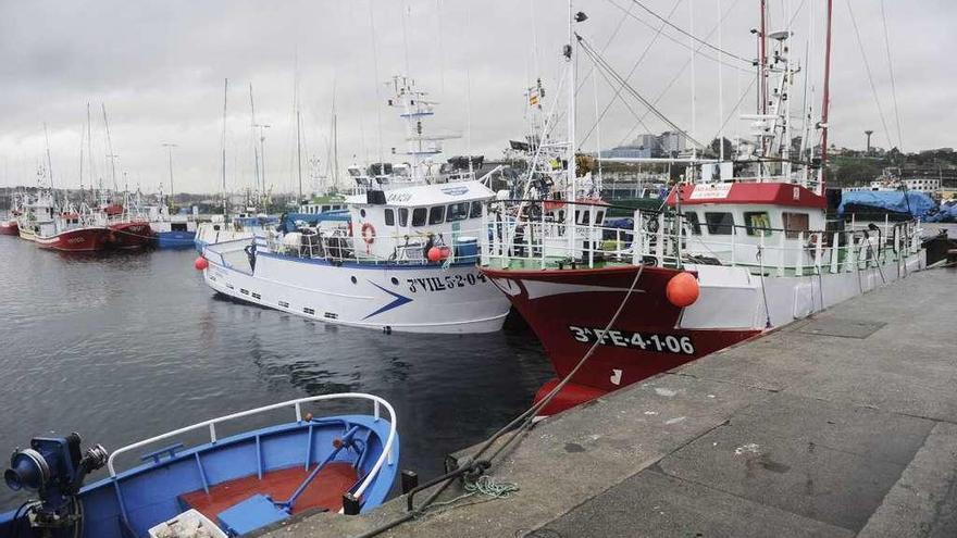 Flota pesquera amarrada en el puerto de A Coruña.