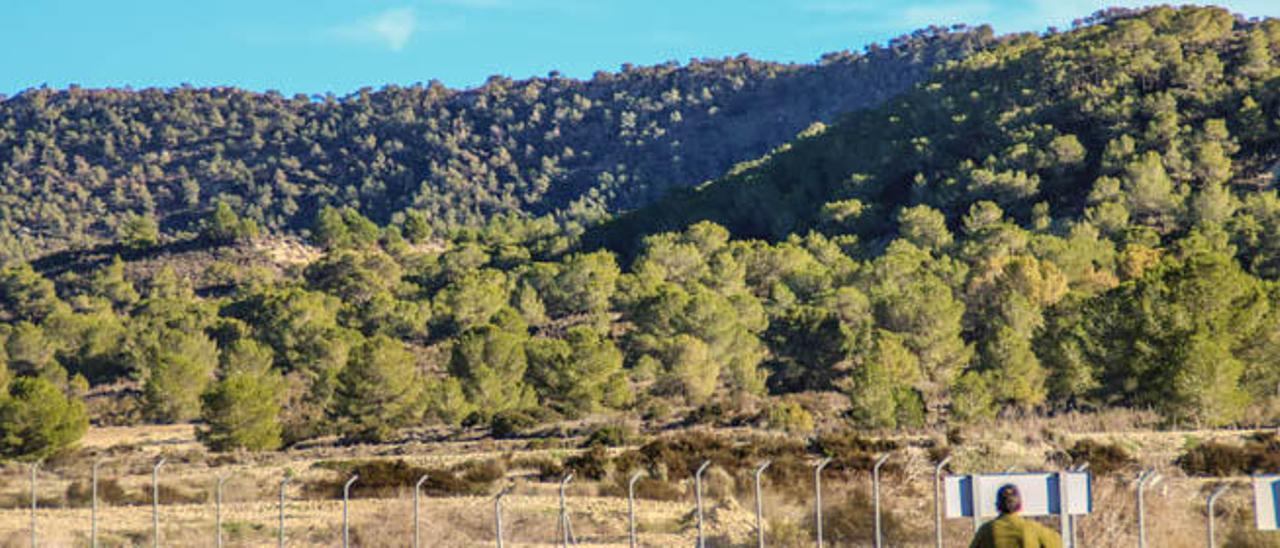 Los ecologistas recuerdan a Puig que no ha cumplido con Sierra Escalona