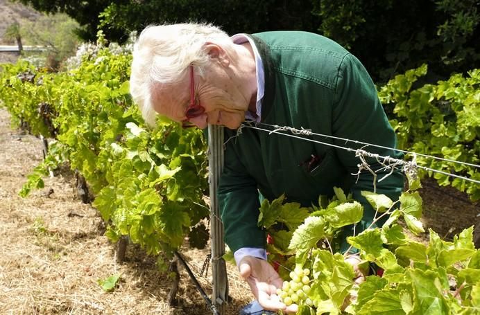 Justus Frankz, en su finca de Monte León