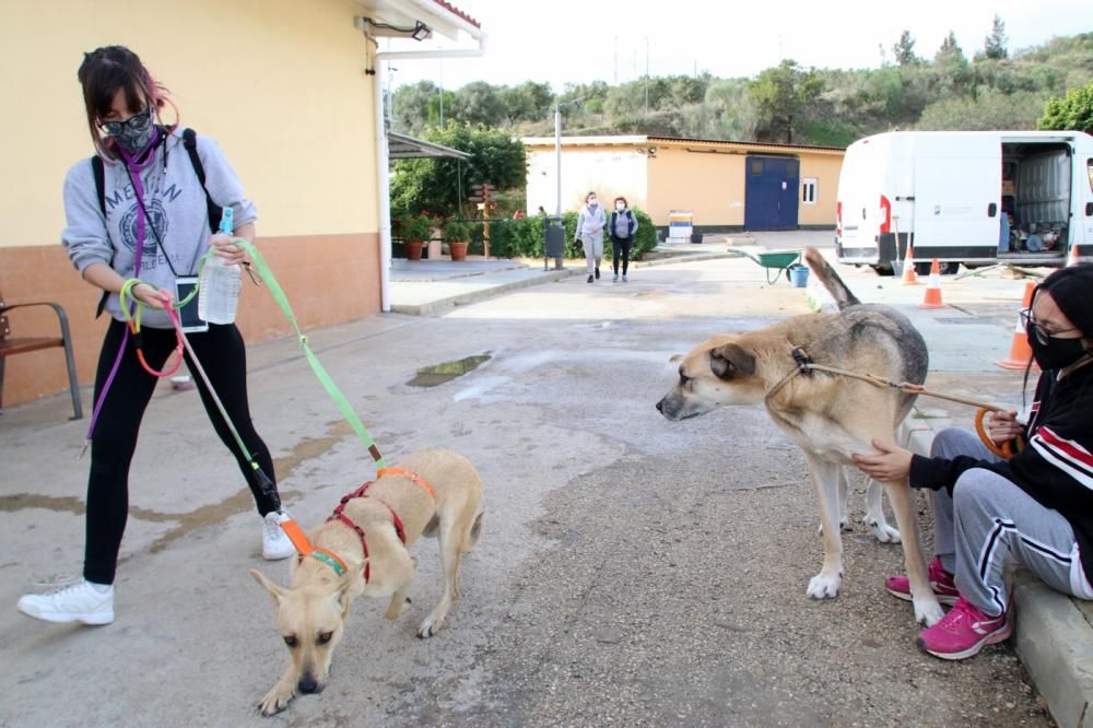 Los ingresos del refugio son destinados a la recuperación y subsistencia de perros y gatos.