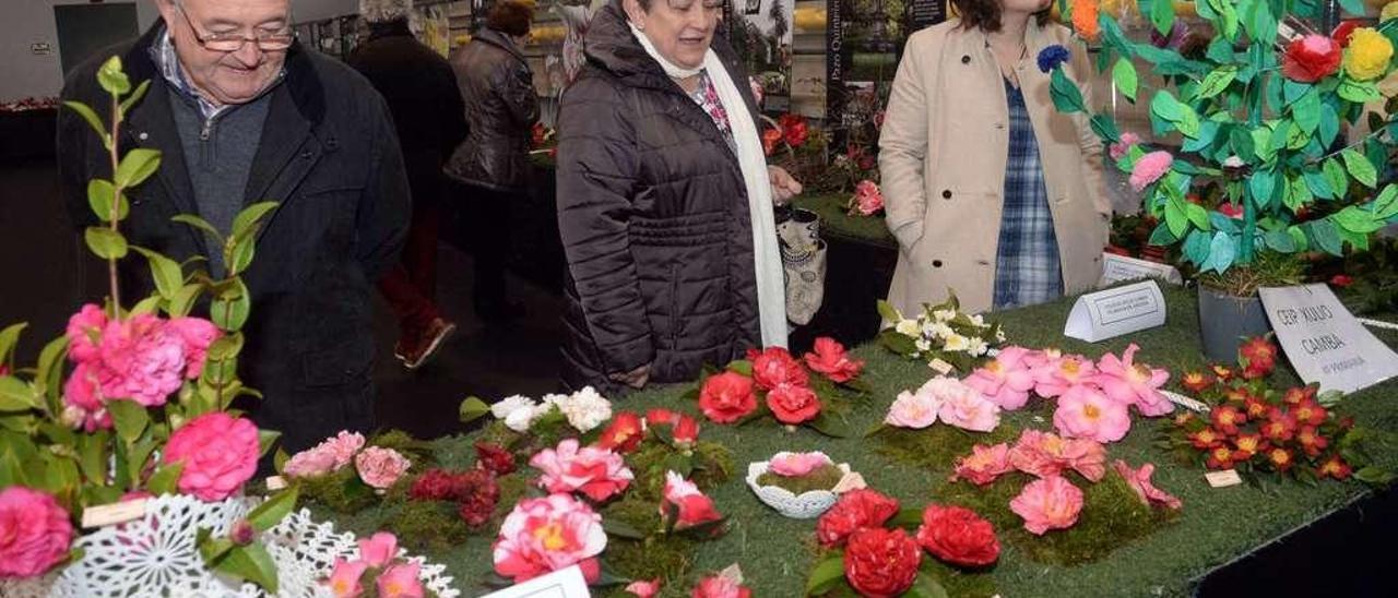 La exposición de la camelia de Vilanova fue la primera de la comarca y se clausuró ayer en el pabellón multiusos del municipio. // Noé Parga