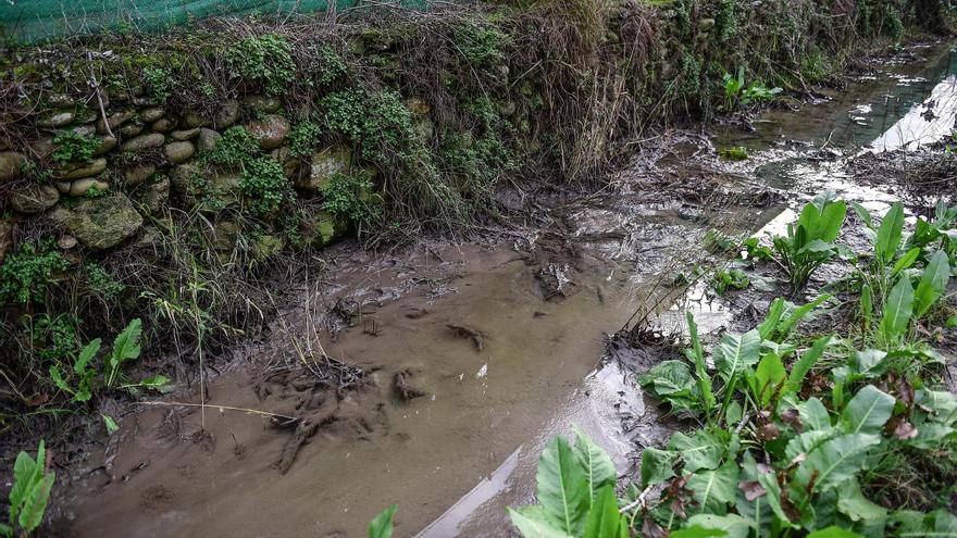 Vuelven las aguas fecales al paseo del río de Plasencia por las últimas lluvias