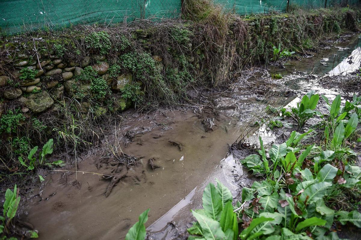 FOTOGALERÍA | Aguas fecales en uno de los paseos del río de Plasencia