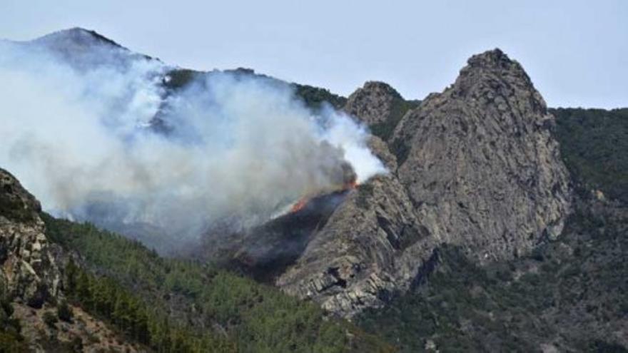 Arde el 10% del Parque Nacional del Garajonay, en La Gomera