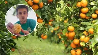 Marc (24 años), agricultor valenciano: "Gracias a la pilota valenciana pude comprar mis primeras tierras y vender más de 40.000 kilos de fruta"