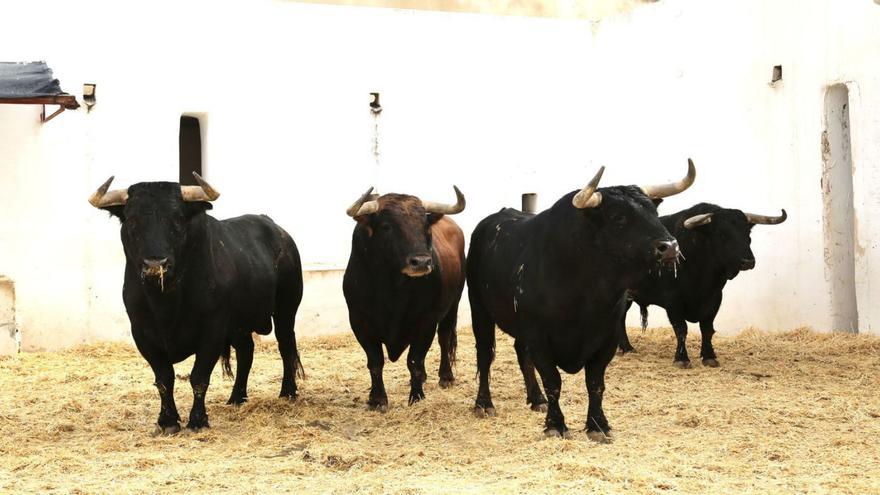 Ferrera, Perera y Marín ante reses de Fuente Ymbro en la primera corrida