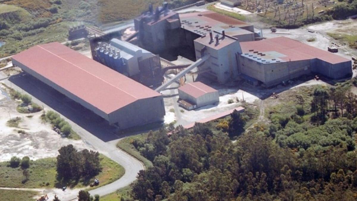 Planta de Xeal en Dumbría