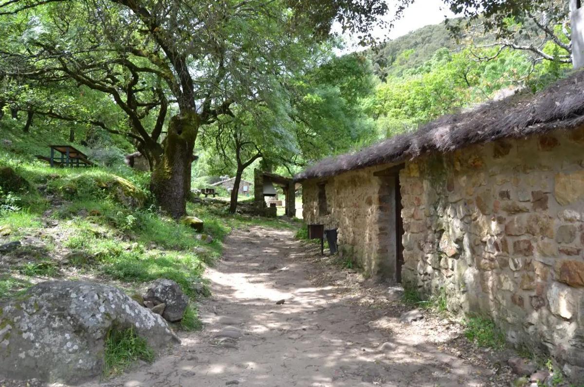 Bosque de La Sauceda, el paraje natural en el que se pueden ver ciervos y buitres entre alcornoques