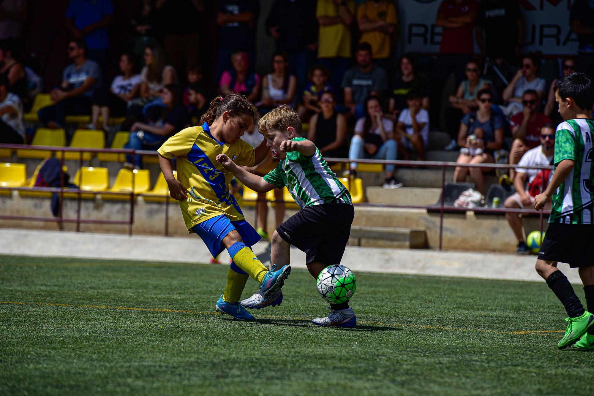 Totes les fotos de la trobada de clubs a Navàs