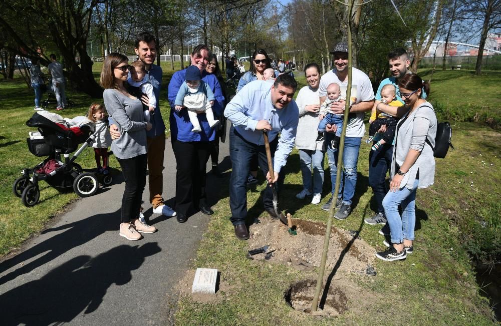 Día del árbol en Arteixo