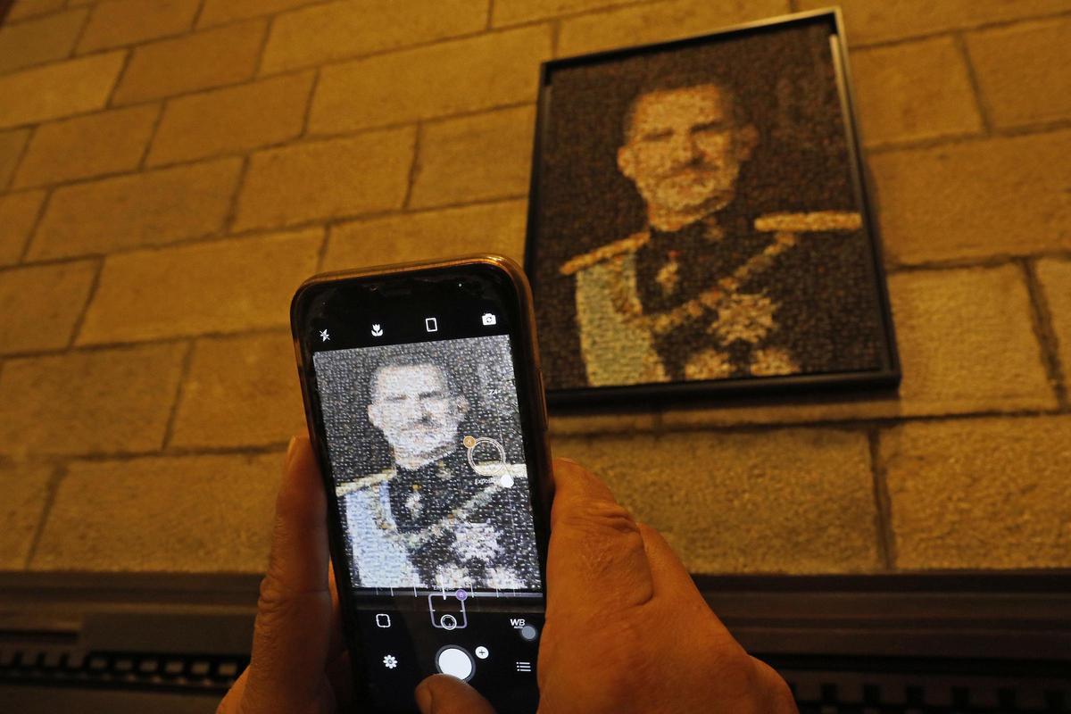 El retrat del Rei Felip VI al Saló de Plens.