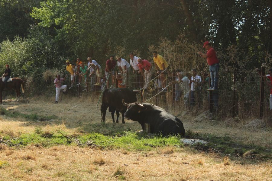 Fiestas en Zamora: Villamor de los Escuderos