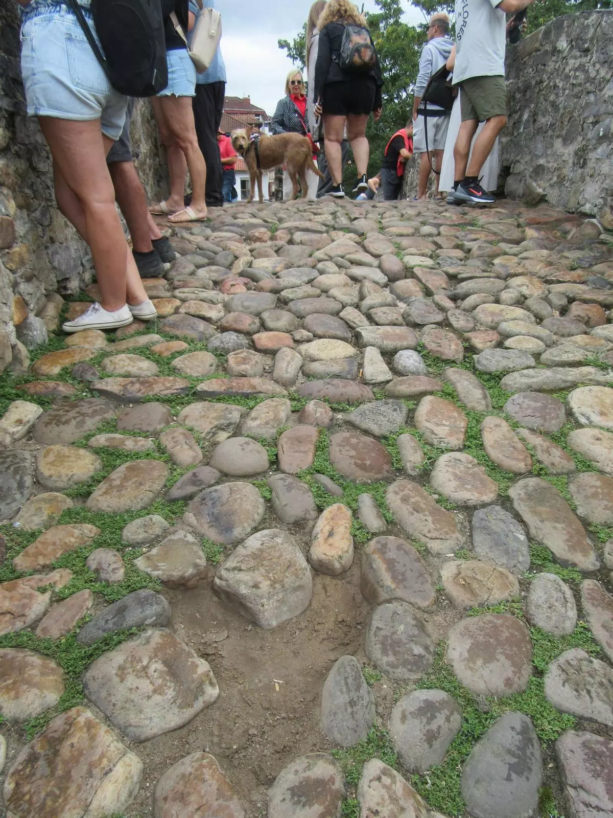 Barrabasada en Cangas de Onís: arrancan piedras del puente 'romano' y las tiran al río Sella