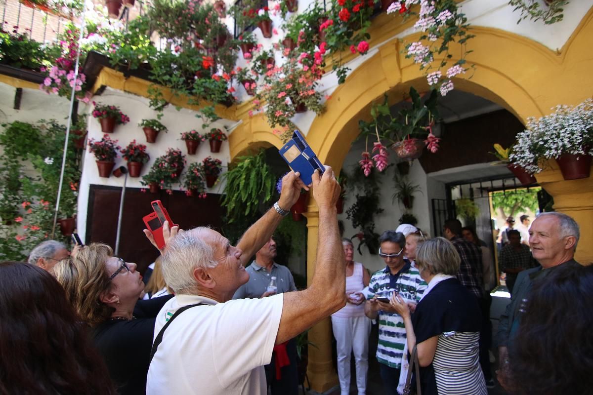 Fotogalería / Empieza el Concurso de Patios Cordobeses