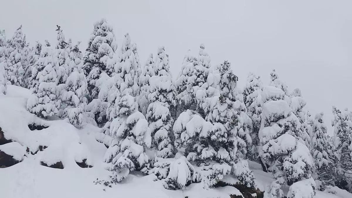 Las nevadas del último mes han acumulado cerca de un metro de nieve en las umbrías de los Rasos de Peguera