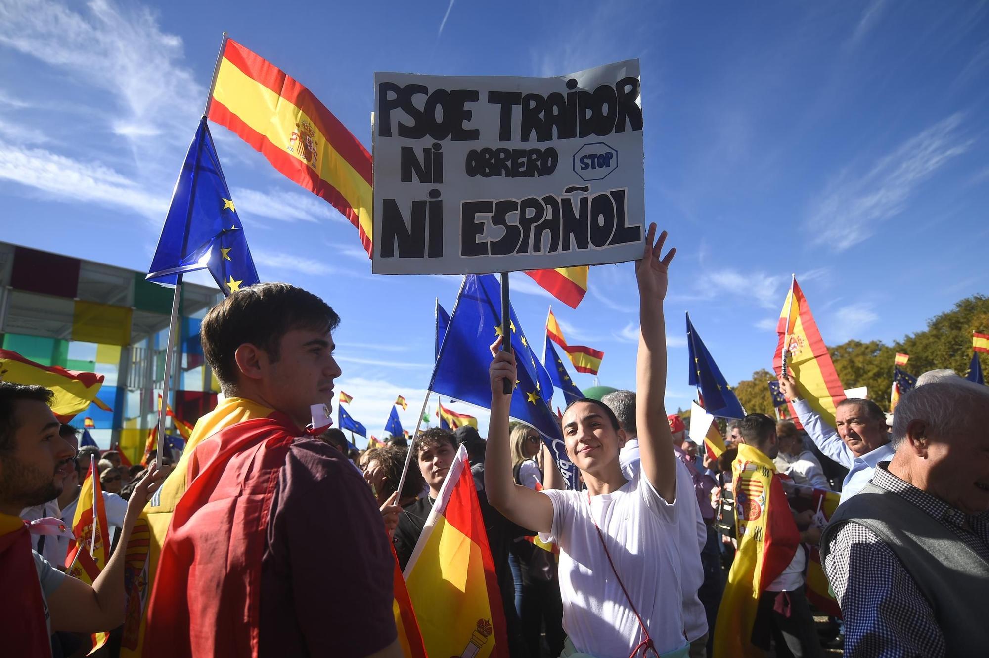 La manifestación del PP contra la amnistía de Málaga,  en imágenes