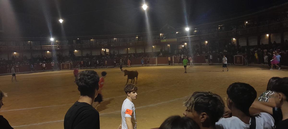 GALERÍA | La verbena taurina de las Fiestas de San Agustín de Toro, en imágenes GALERÍA | La verbena taurina de las Fiestas de San Agustín de Toro, en imágenes