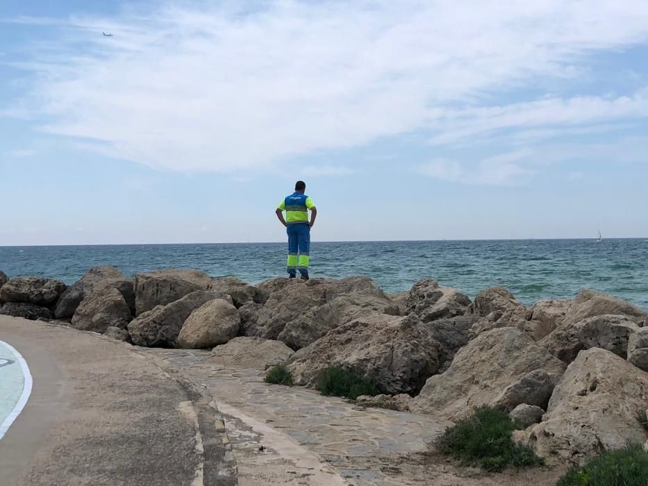 Mitarbeiter der Stadt suchen den Strand vor El Molinar ab.