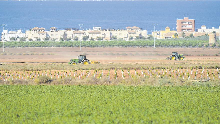 &quot;El acuífero está lleno porque hay una recarga de los regadíos intensivos&quot;