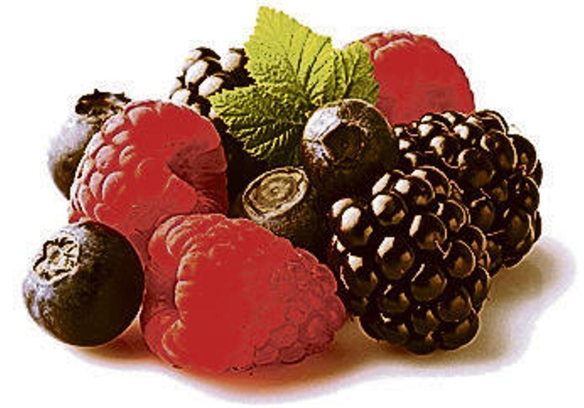 Asturias, paraíso frutero