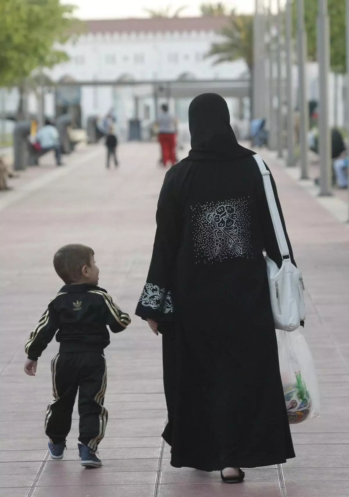 Vox demana en les Corts prohibir el nicab i el burca en espais públics en plena negociació amb Pérez Llorca