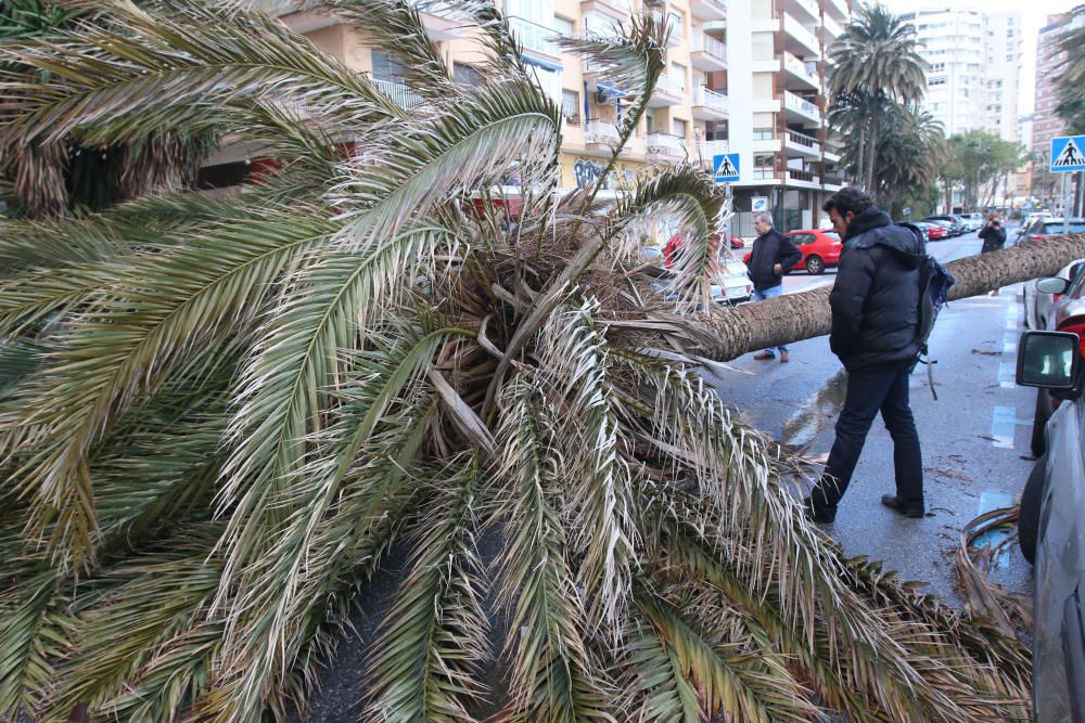 Temporal de viento y lluvia en Málaga