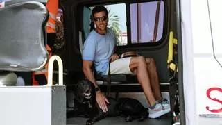 Los perros guía para pacientes con discapacidad ya pueden subir a las ambulancias en Baleares