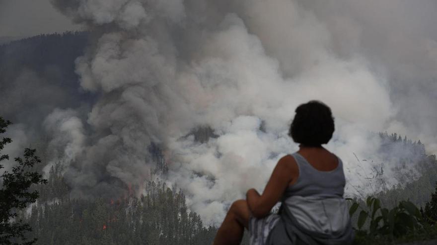 Cambio brusco en los incendios a las puertas del otoño: más de 550 hectáreas arrasadas en sólo una semana en Galicia