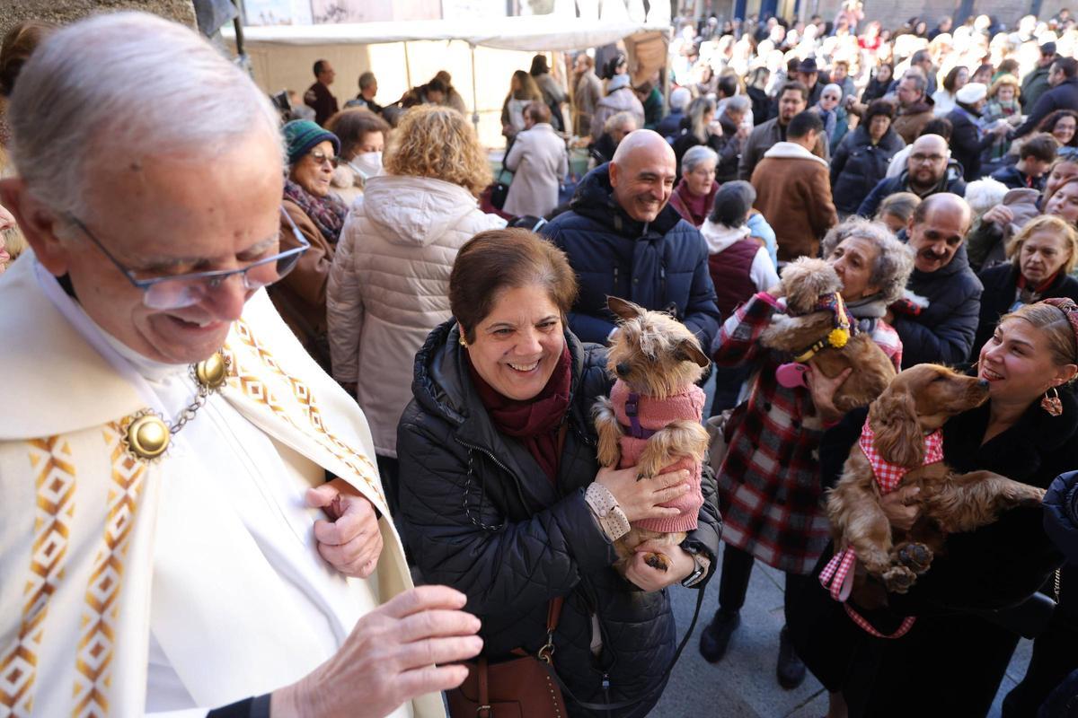 Fotogalería | Así se ha vivido la bendición de las mascotas cacereñas por San Antón