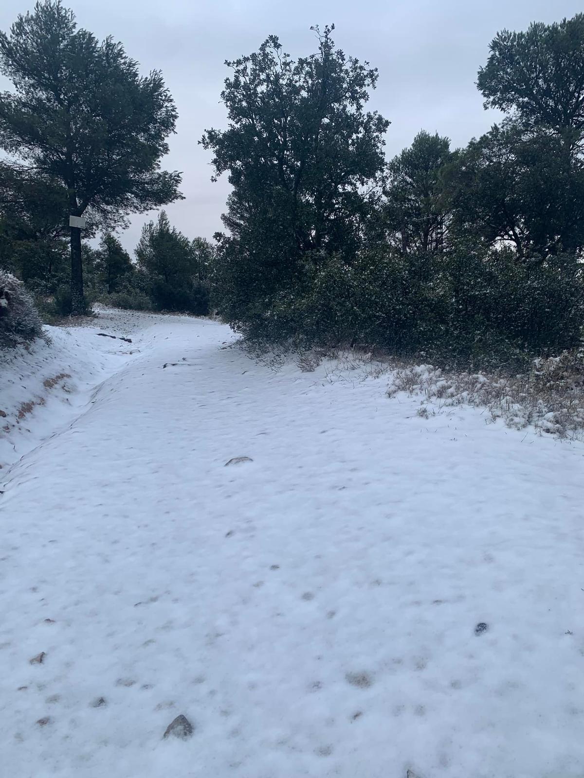 La nieve ha llegado a alcanzar diez centímetros de espesor en las montañas de Petrer.