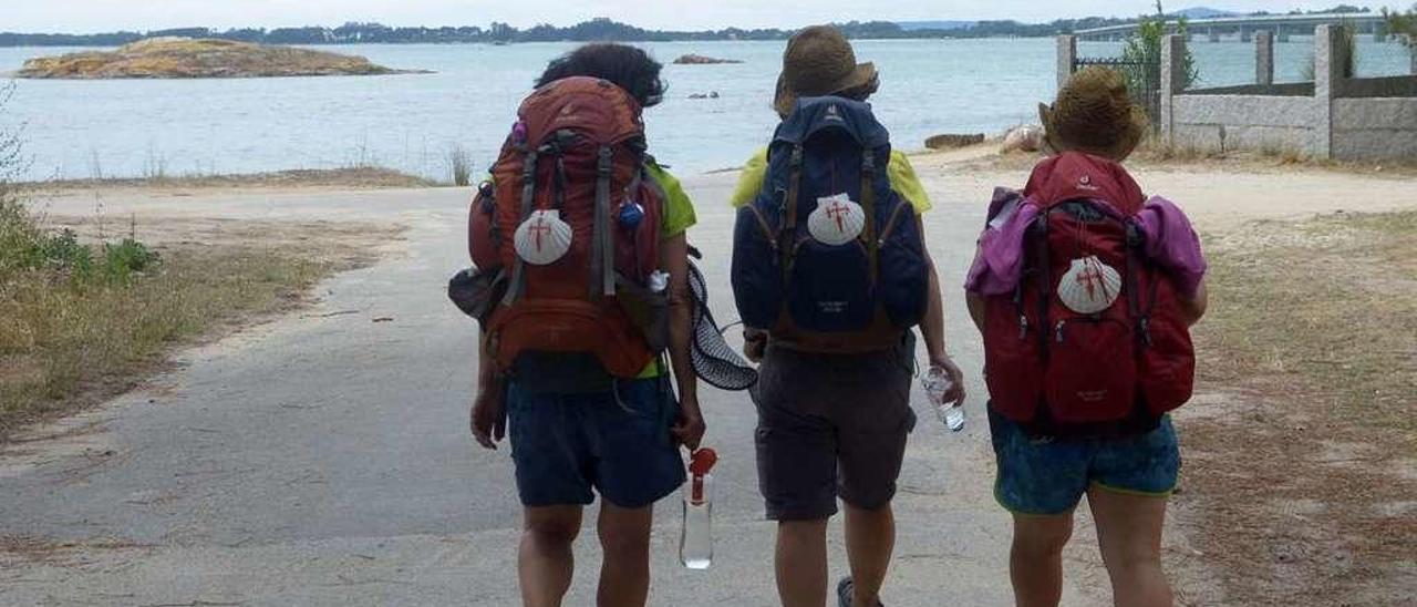 Un grupo de peregrinos a su paso por Vilanova de Arousa. // Noé Parga