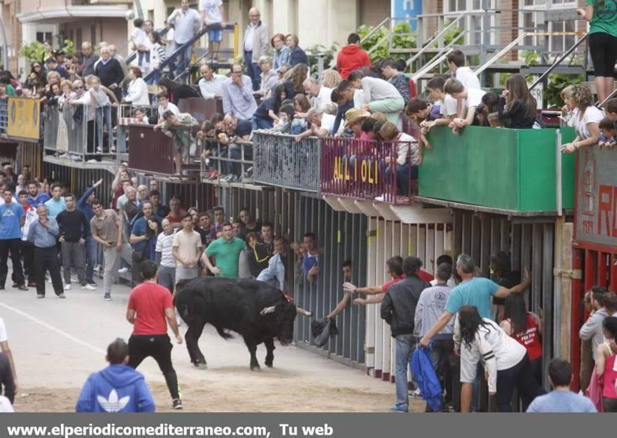 Bou per la vila en Vila-real
