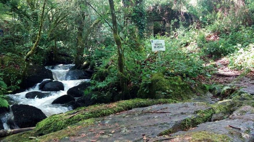 Olaia &quot;descubre&quot; las cataratas de Ponte en su Camiñada de Primavera