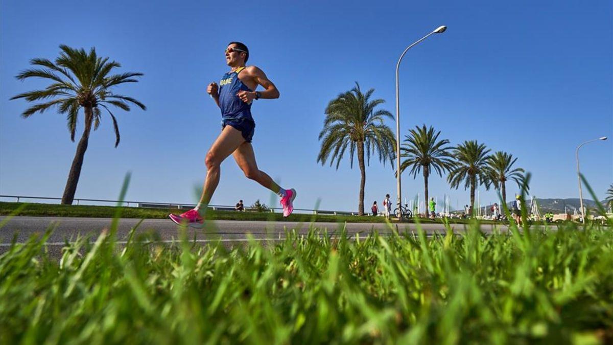 El Zafiro Palma Marathon reduce la participación al 50%