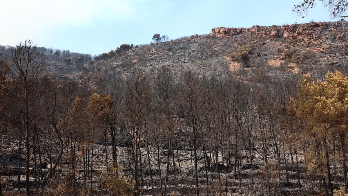 Els veïns tornen a les seves llars a la Vall d’Uixó