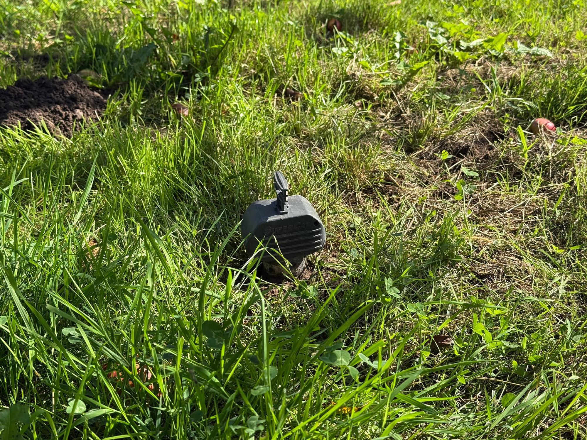 El SERIDA explica sobre el terreno las medidas de protección contra las plagas de roedores en pomaradas