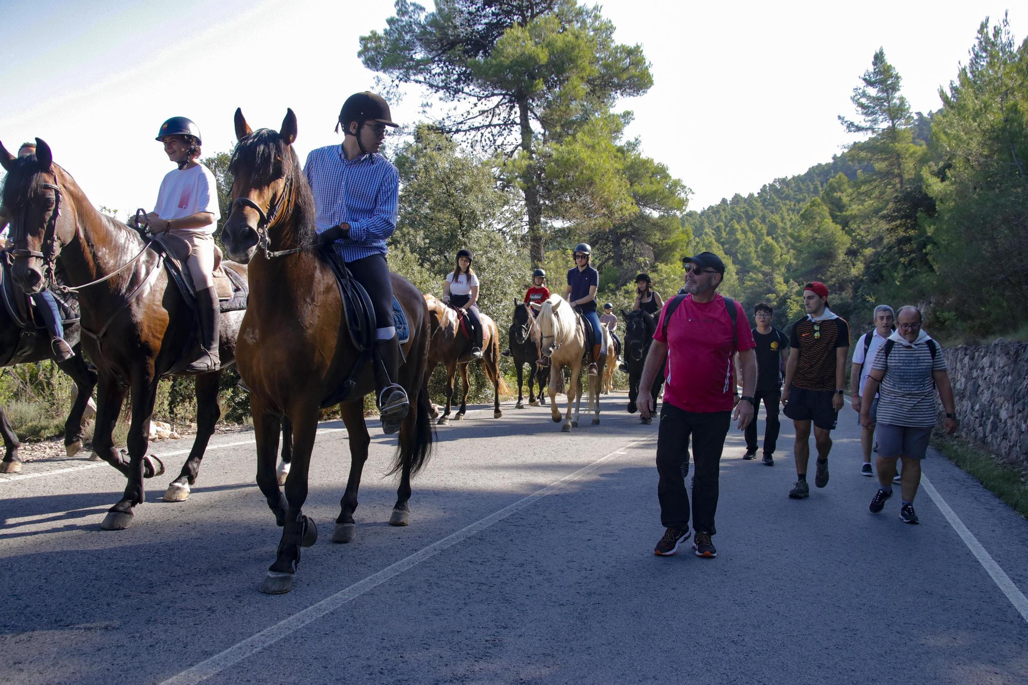 Alcoy vuelve a celebrar tres años después la romería de la Font Roja