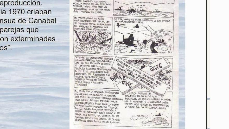 Viñeta sobre la aniquilación del cormorán en los setenta en Oleiros.