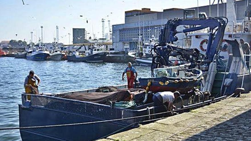 Embarcaciones de cerco amarradas en el puerto de A Coruña.