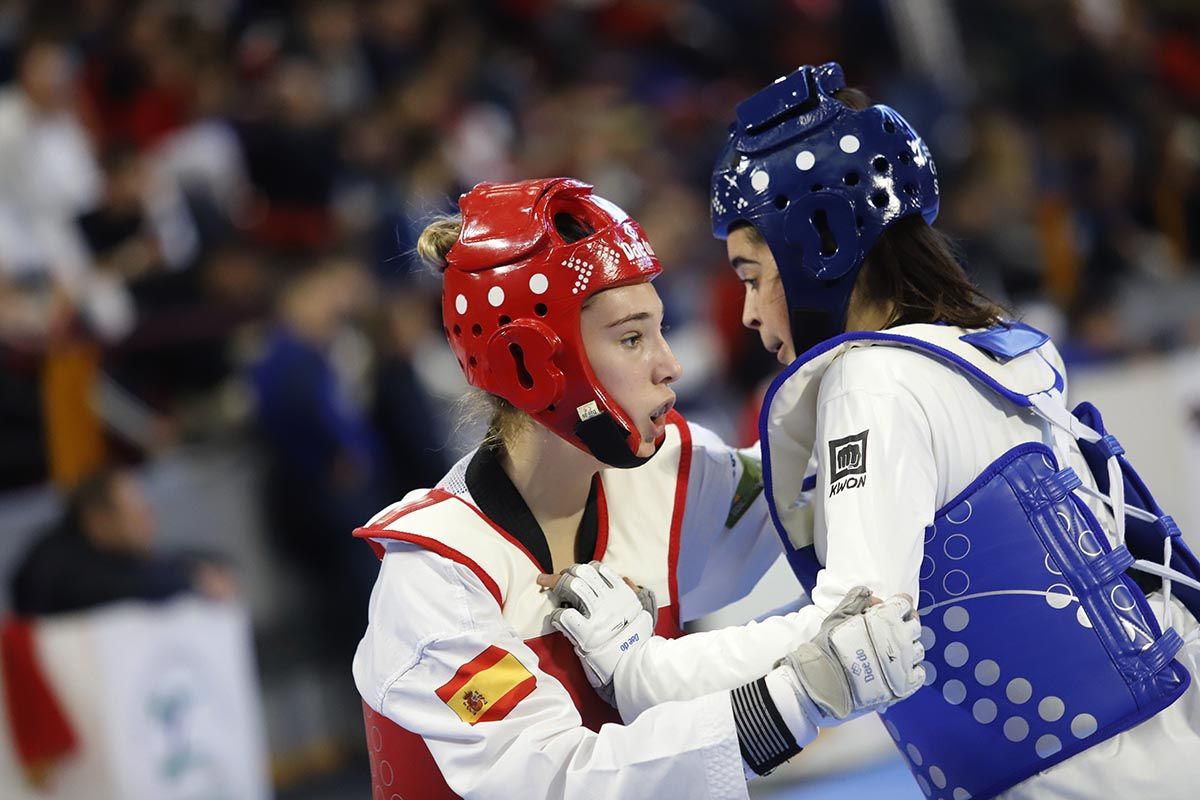 El Open Internacional de Taekwondo de Córdoba, en imágenes