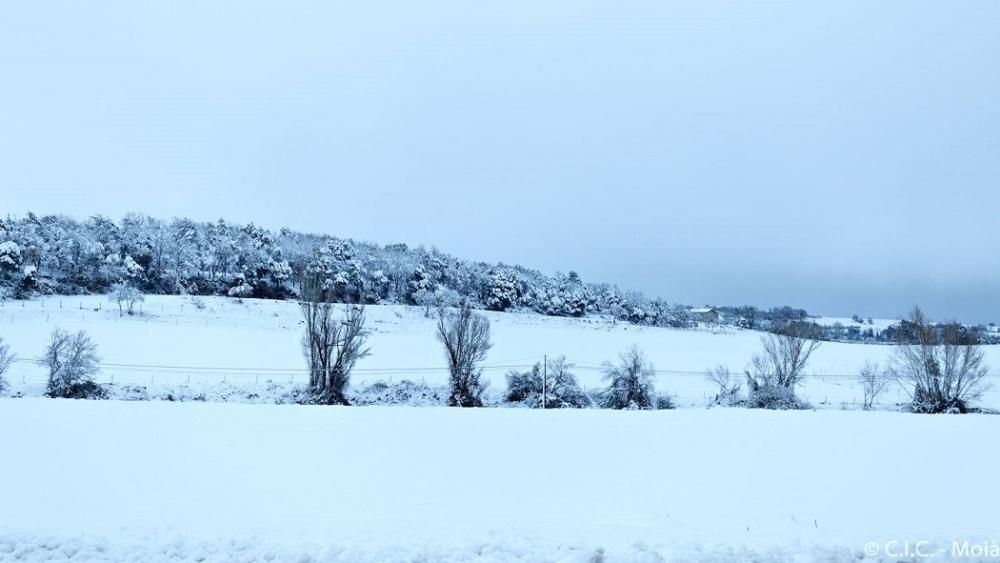 Nevada entre els termes de Moià i Collsuspina