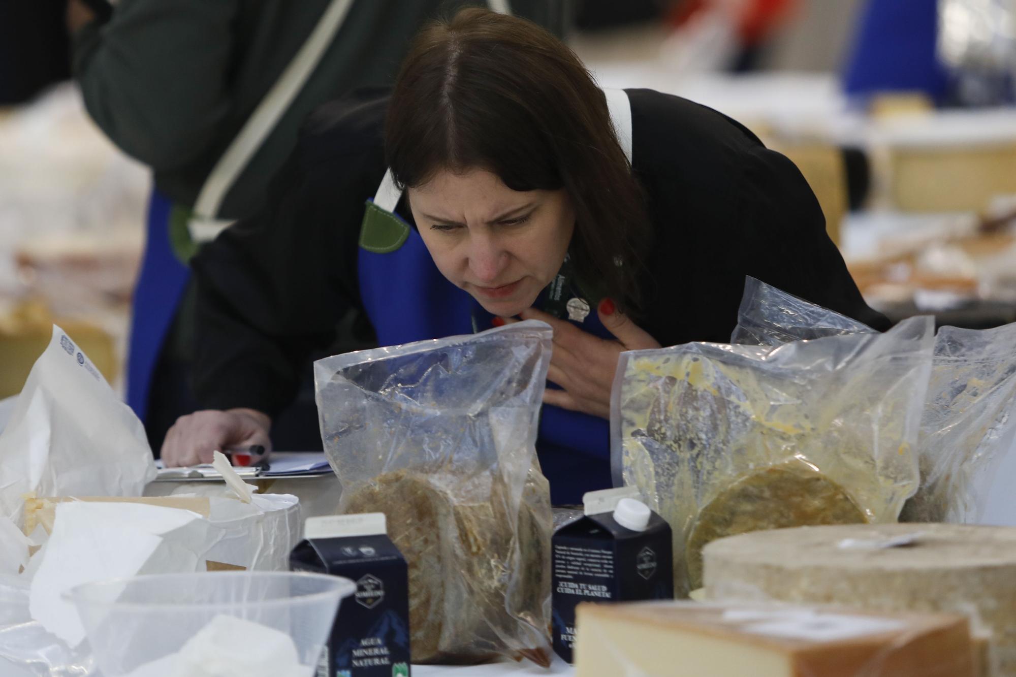 World Cheese Festival: las imágenes de los mejores quesos del mundo