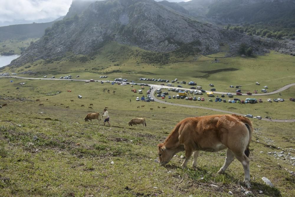 Las fotos que demuestran que los Lagos son una maravilla natural